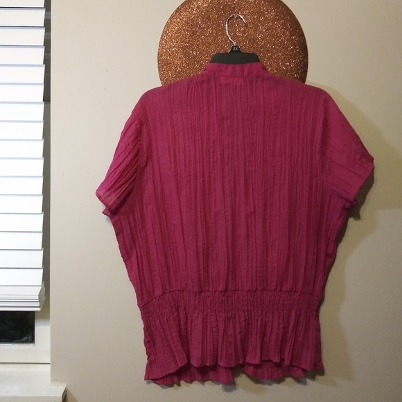 Women's PLUS Cato Blouse - Picture 4 of 5